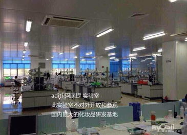 自信绽放，从加盟Aditi开始——自有两家化妆品工厂，诚邀您共享美丽商机