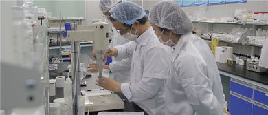 掌握化妆品OEM代加工厂化工流程的全面指南